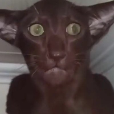 Lathe of Heaven Power User