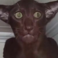 Lathe of Heaven Power User