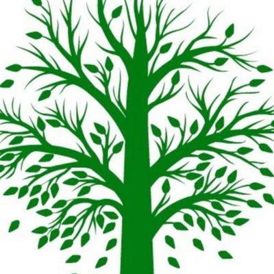 The Miracle Smile Forest