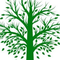 The Miracle Smile Forest