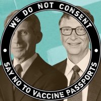 Sagge Saari 🇫🇮