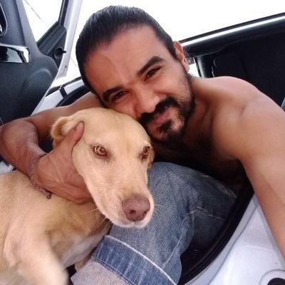 Comentarista aleatório de BBB