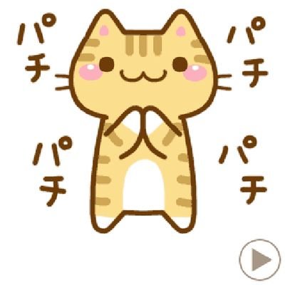 ポコちゃん🌹❤️