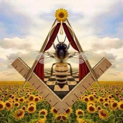 🏴‍☠️ GUNS & XRP ⛵