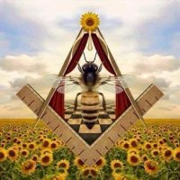 🏴‍☠️ GUNS & XRP ⛵