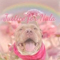 Ivy 💗🐾🐕 🐿️🐈🐦🐬