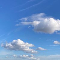 あけぴょん🐿️🌱💕 ｈｏｐｅ🦋