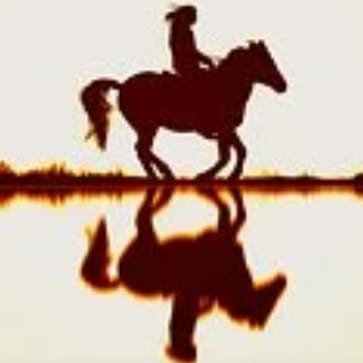 ウマ王子の一口馬主ブログ【ブロガー&YouTuber】