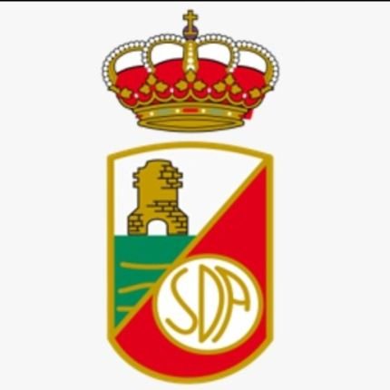 RSD ALCALA SAD