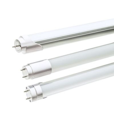 lâmpada anti frescura