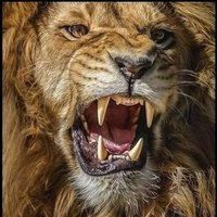 ®∆j\/€€® $™