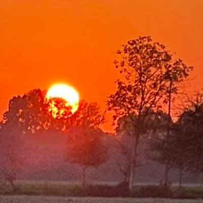 Roberto 🌈⭐️⭐️⭐️⭐️⭐️🌈