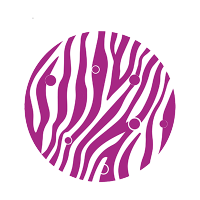 NET CONNECT powered by COR2ED