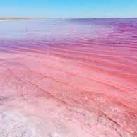 Elizabeth Ferrari 🇵🇸 🇻🇪 🇨🇺