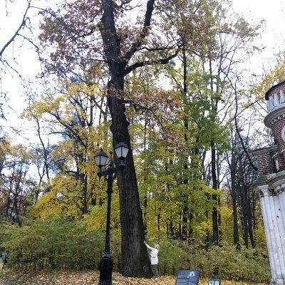 Людмила Горбачева 🇷🇺 Россия