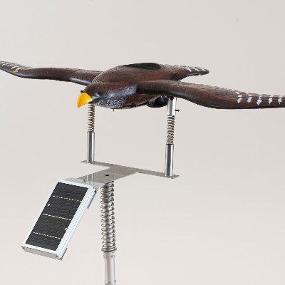 ゼロバード(zerobird.jp)