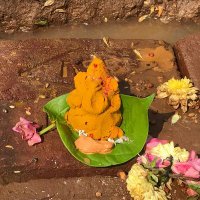 lovelymeadows #SaveSoil