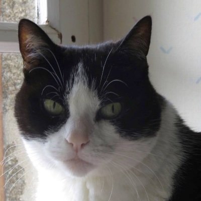 🇫🇷🇺🇦hicetnunc.bsky.social (Michèle Krakowski)