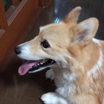 Dr.Sugar@勤続47年