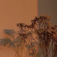 salsa kaya raya 💅🏻💅🏻💅🏻