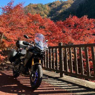 にだいめ💎💧🍵