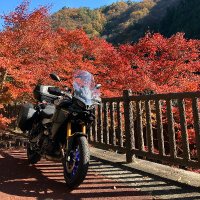 にだいめ💎💧🍵