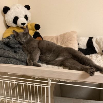 ファッションぶった斬り 本音マジ解説