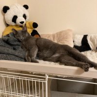 ファッションぶった斬り 本音マジ解説