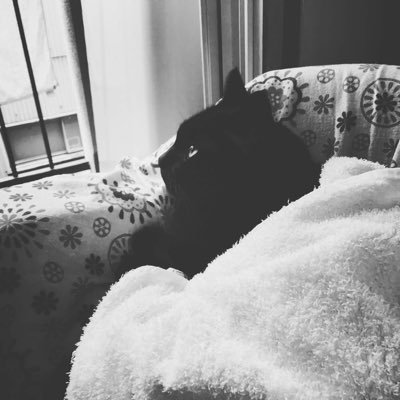 ꧁༺𝐘𝐮𝐭𝐚𝐤𝐚༻꧂