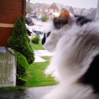 Grand Prince Simon Carangi's Research