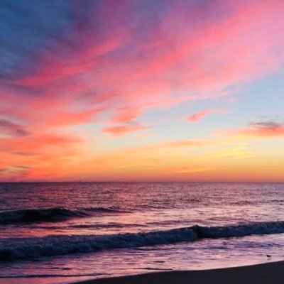 TeaP🇺🇸🙏🇺🇸