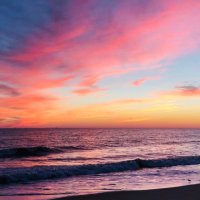 TeaP🇺🇸🙏🇺🇸