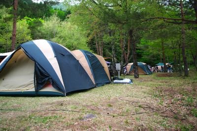 こぴぽ🟠旅行・TDL・USJ・キャンプとにかくアウトドア派🍥