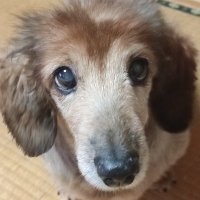 真浩さん(自力自在型)