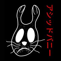 †️ acid ☽️ bunny †️