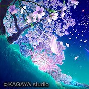 🐻スクマム•クマ 2026🏉