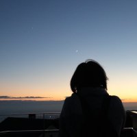 🪴キコさん(kiko)