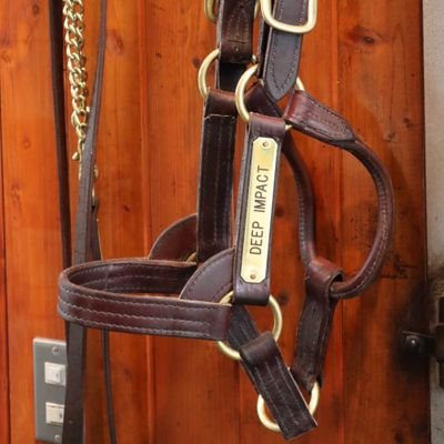 TRA(十勝帯広一口馬主会)