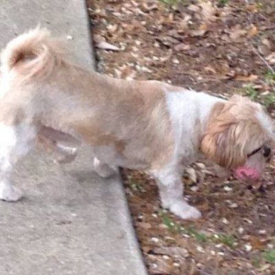 John Scott - the TownCrier