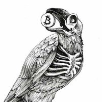 crypto vulture Trader 🦅
