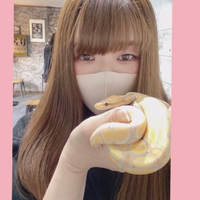 asahi 🐍@ α R's⚜️3/29アクバス出店🐠