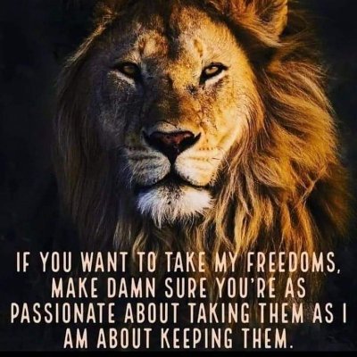 RJPhoenix #No2Sanctions #HoldtheLine 🔻🔻🔻🔻