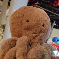 ローシャ_Rorsch 🌹💎🌱🐣