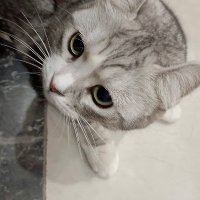 花开一奈＜互fo💯💯＞