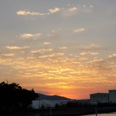 🧸あいちゃん🍀