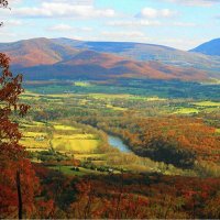 Aspiring Agrarian Aristocrat