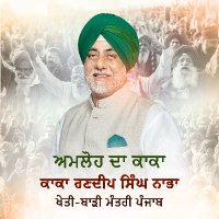 Randeep Singh Nabha