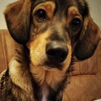 zbigniew🎶🇵🇱🇪🇺I stand w..🇺🇦