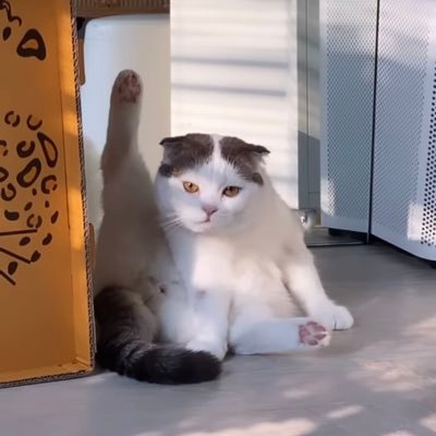 hey🙋🏻‍♂️