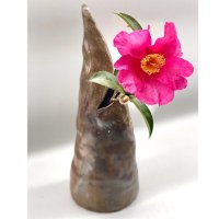 はしもと きよみ